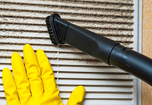 Best HVAC Duct Inspection Services  in Clarkton, MO